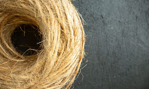 vista aérea de un nido