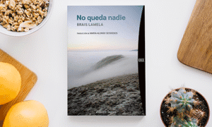 portada de la novela No queda nadie de Brais Lamela